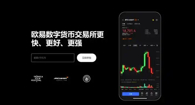 Topay钱包下载系统展示图